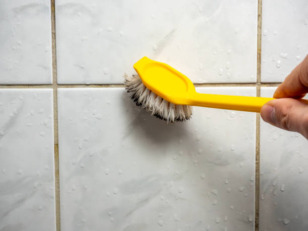 Attic Mold Removal in Hicksville, NY