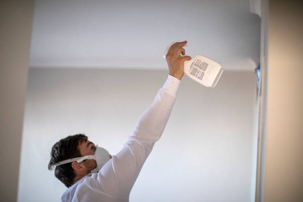 Best Mold Removal Near Me  in Hicksville, NY