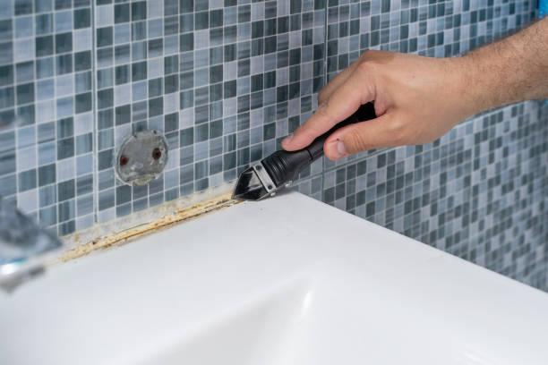 Best Mold Remediation Services  in Hicksville, NY